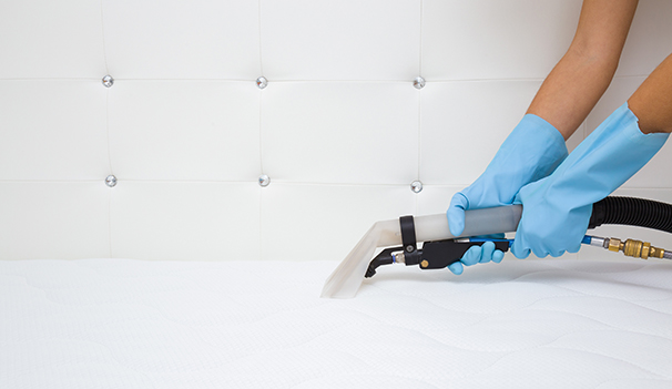 Employee hands in blue protective gloves cleaning new modern white mattress with professionally extraction method. Regular cleanup. Commercial cleaning company. Closeup. Side view.